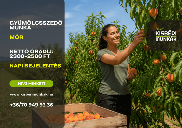 Kisbéri Munkák - undefined